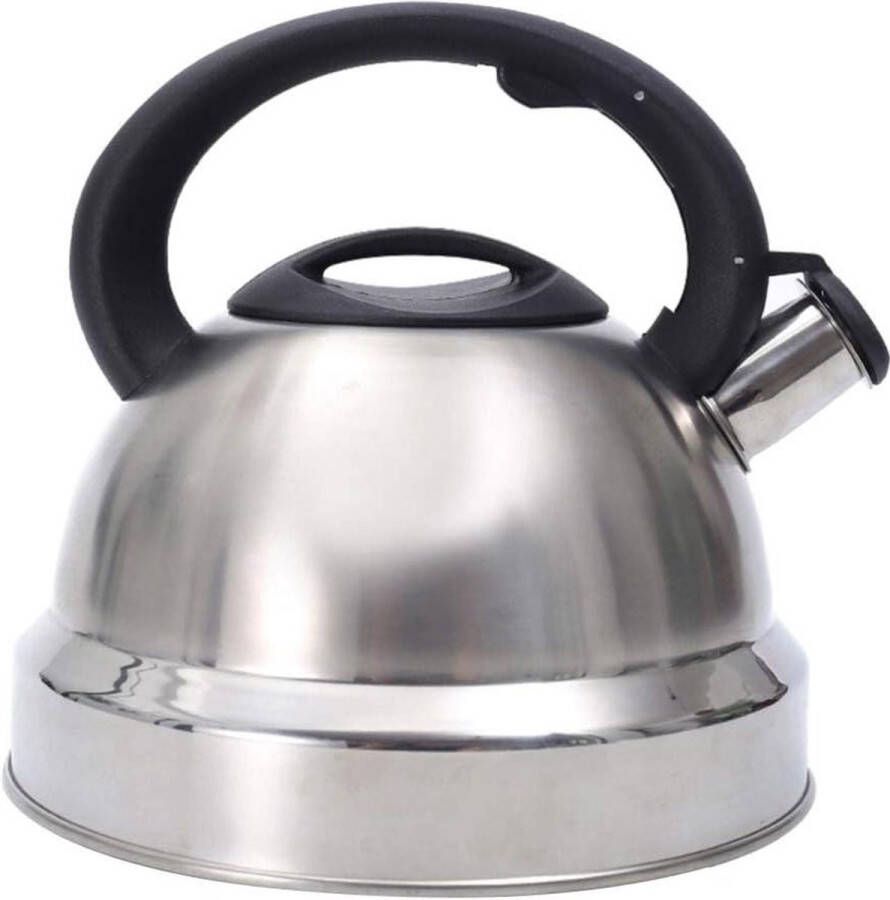 Fluitketel 3 liter roestvrij staal pijpketel gasfornuis waterketel inductie theepot roestvrij staal teakettle voor keuken camping wandelen picknick waterkoker