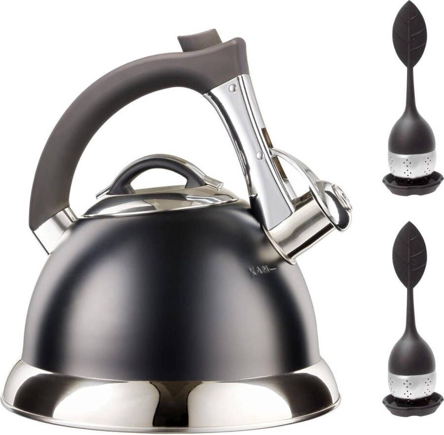Fluitketel chirurgisch roestvrijstalen theepot met iCool handvat geschikt voor alle kookplaten 2 gratis infusers 3 kwart van de inhoud