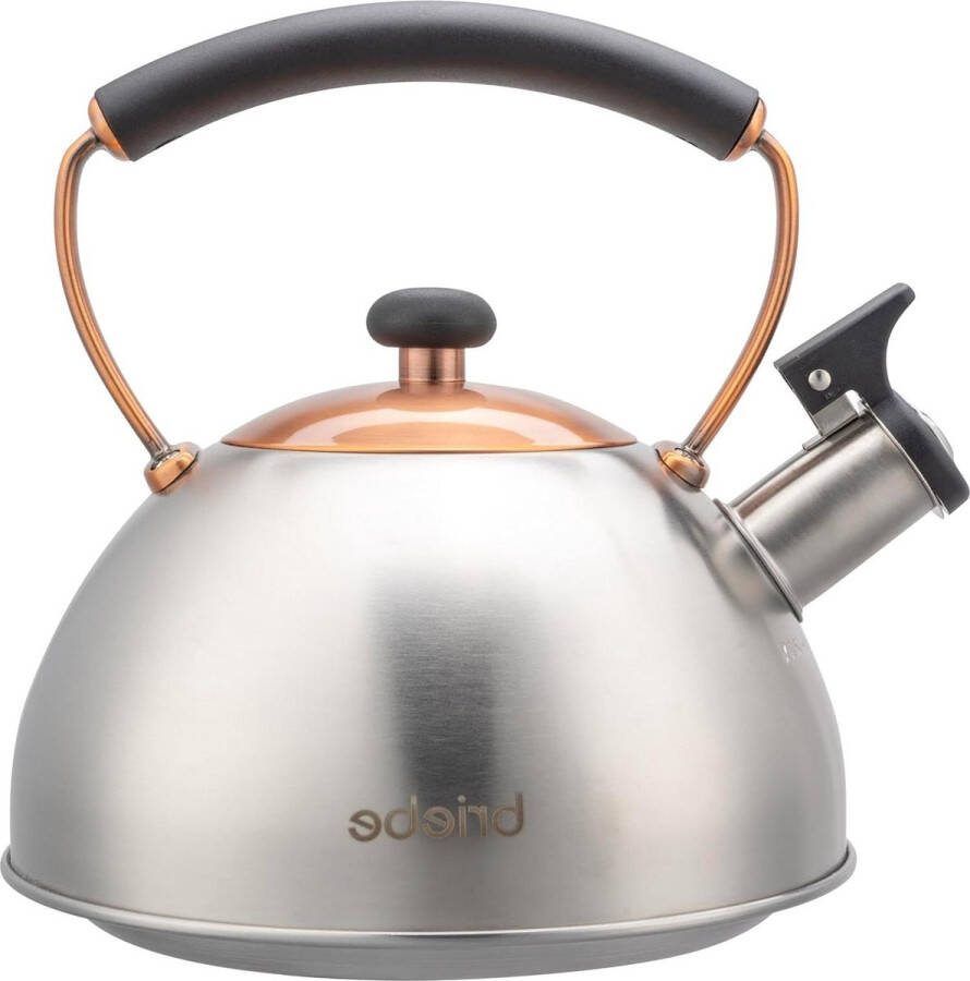 Fluitketel Inductie 23 L Roestvrijstalen RetroHouten Handvat Theepot Keuken Glaskeramische Gas Elektrisch Vintage Design Teapot Roestvrij staal Brons