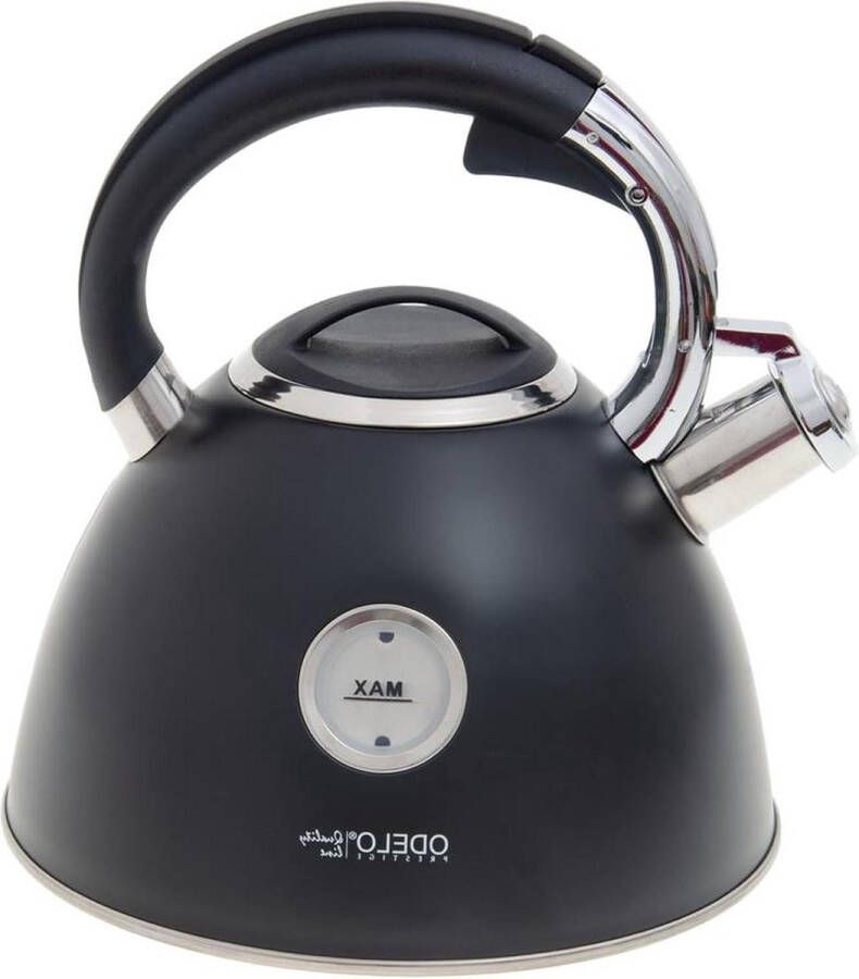 Fluitketel Theeketel 3.0 l waterkoker Gavino waterniveau-indicator inductie gas elektrisch fornuis zwart