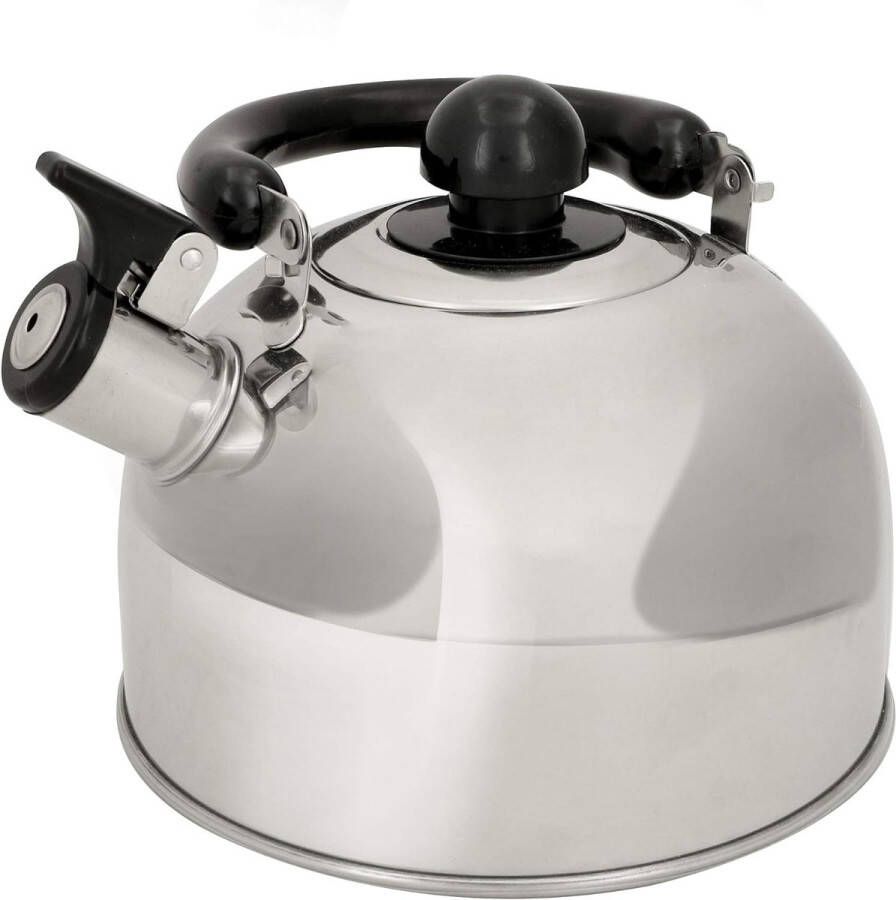 Fluitketel van roestvrij staal theeketel voor fornuis theepot geschikt voor inductie en gas zilver