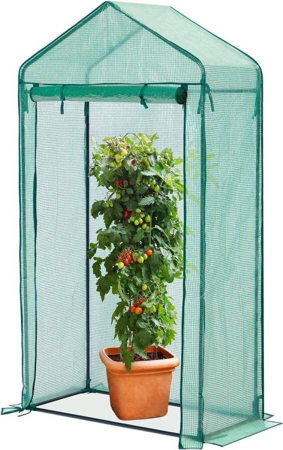 Foliekas 190 x 100 x 50 cm tomatenkas met puntdak tomatenkas met roldeuren voor groenten fruit bloemen tuin balkon groen
