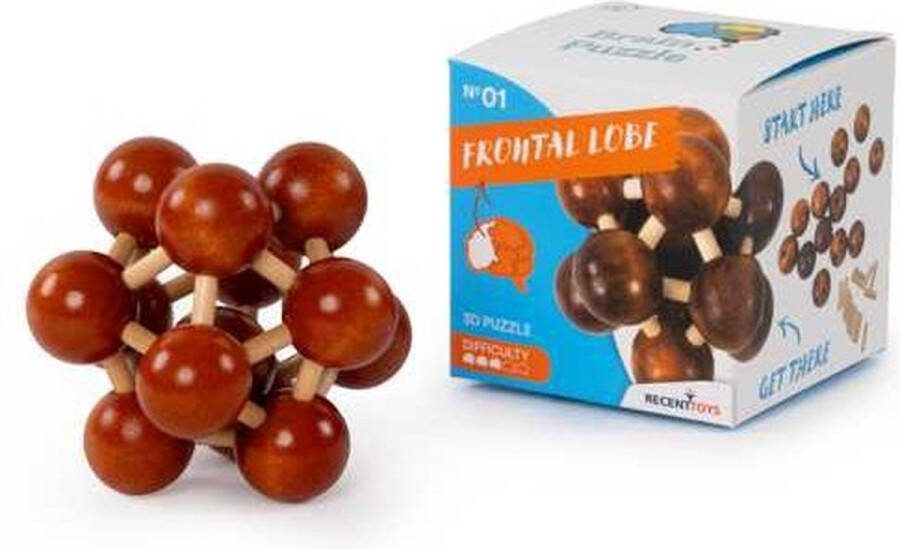 Frontal Lobe Breinbreker 1 Recent Toys