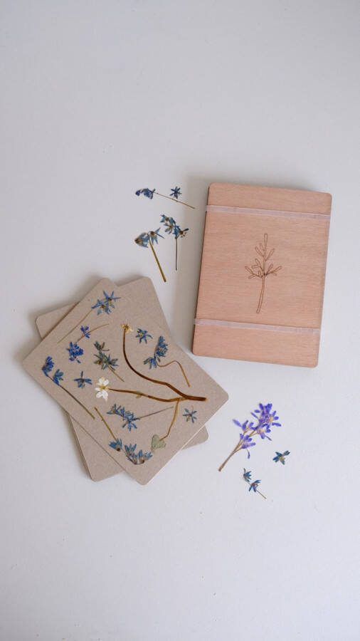 FynBosch Design DIY Bloemenpers A5 Herbarium droogbloemen maken voor volwassenen Klein & draagbaar Pocket Flower Press Bloemen Drogen