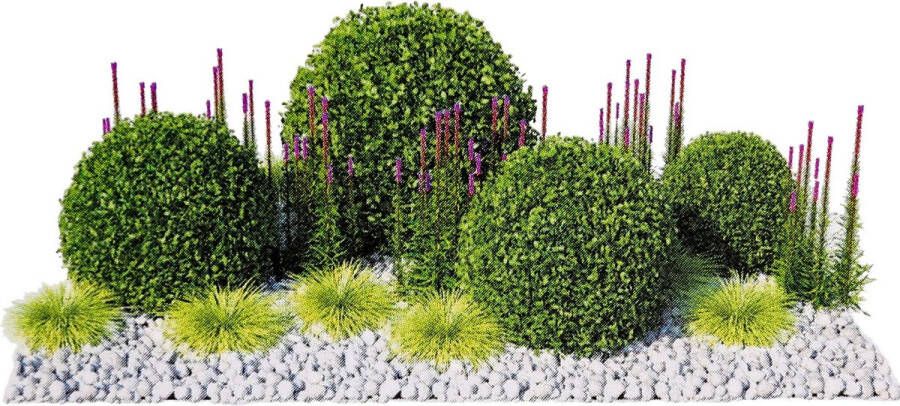 GARDEN BOX Professioneel ontwerp van een tuinbed op agrotextiel 2mx1.6m