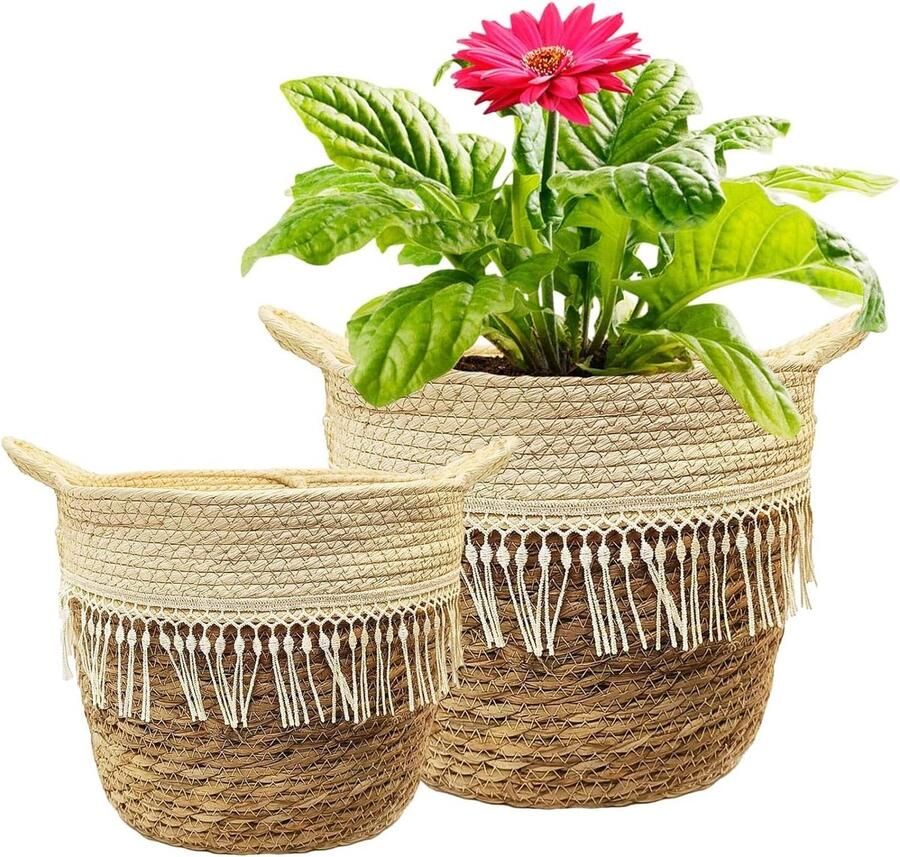 Gevlochten zeegras plantenmand set van 2 voor kamerplanten Grote bloempot boho potten met handgrepen Opbergmand 20 cm en 25 cm diameter