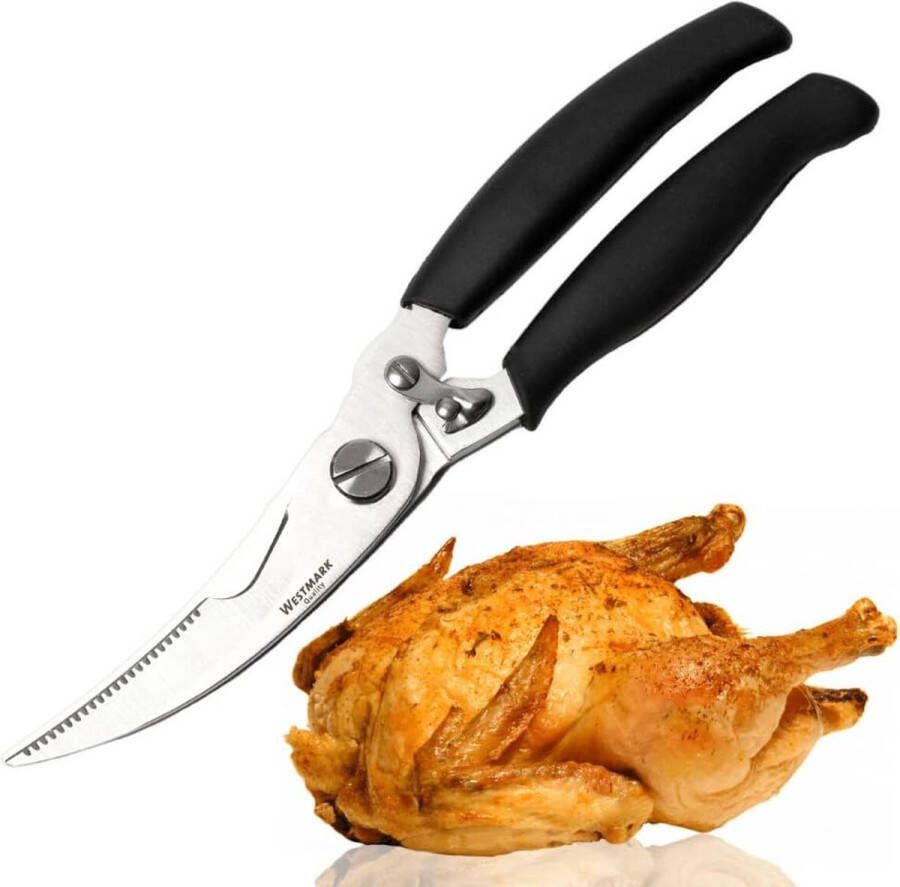 Gevogelte set van roestvrij staal 1 x gevogelteschaar 1 x braadsapspuit en keukengaren 60 m perfect voor horeca of thuis (zwart 3-delig)