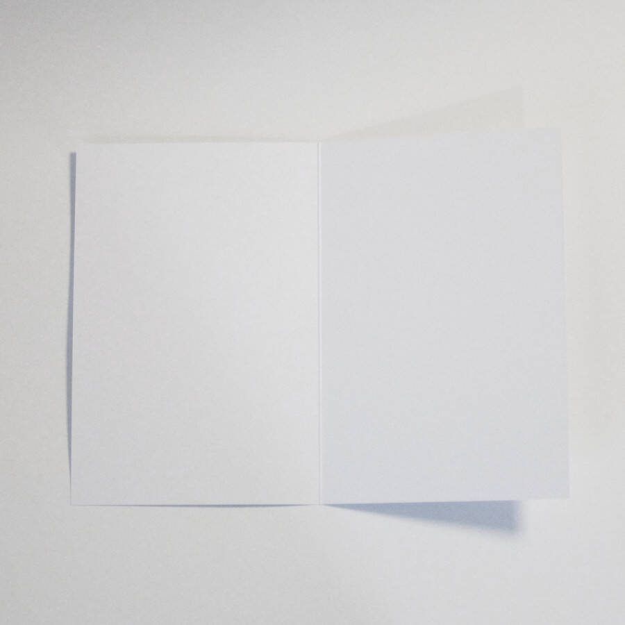 Gevouwen Kaarten Blanco Wit 250g m2 40 stuks 11 5x17 cm gevouwen 23x17 cm ongevouwen met bijpassende enveloppen
