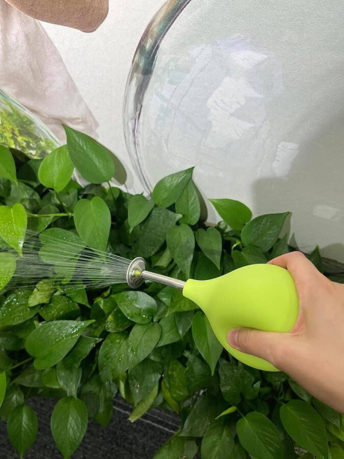 Gieter bal sproeier roestvrij staal schenkkan alternatief voor kleine planten stekken bloemen zaailingen (lichtgroen)