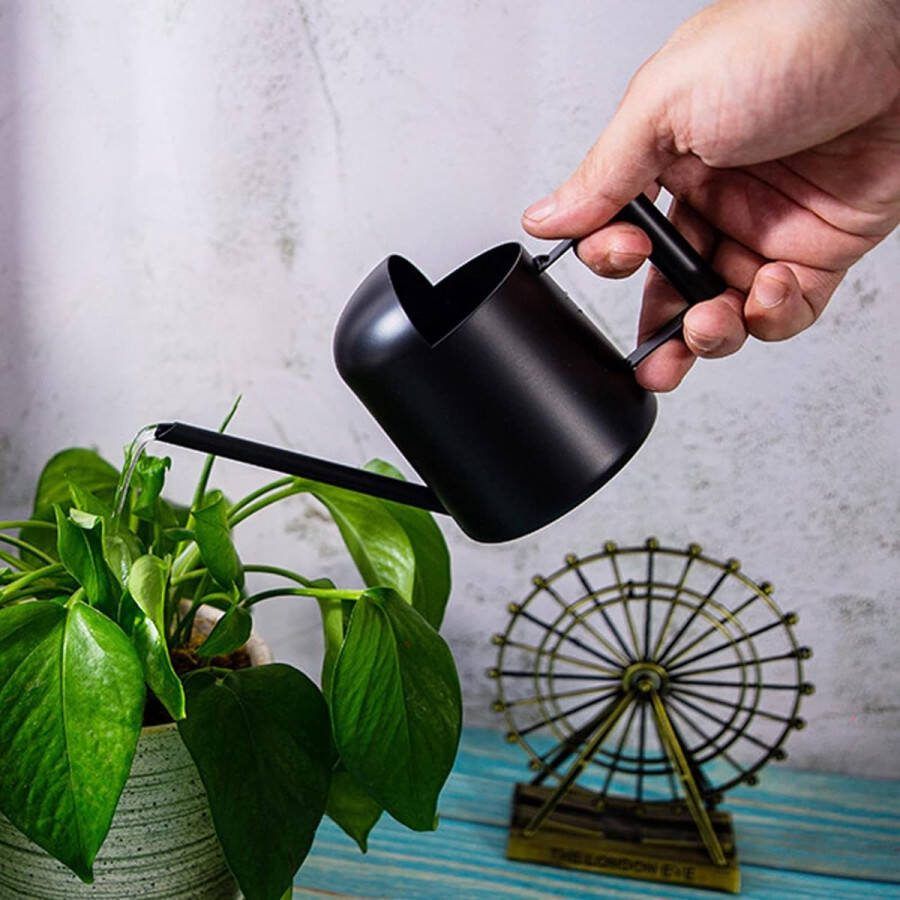 Gieter kamerplanten 300 ml mini-gieter roestvrijstalen gieter met lange uitloop kleine tuingieter voor kamerplanten balkonplanten bloemengieter (zwart)