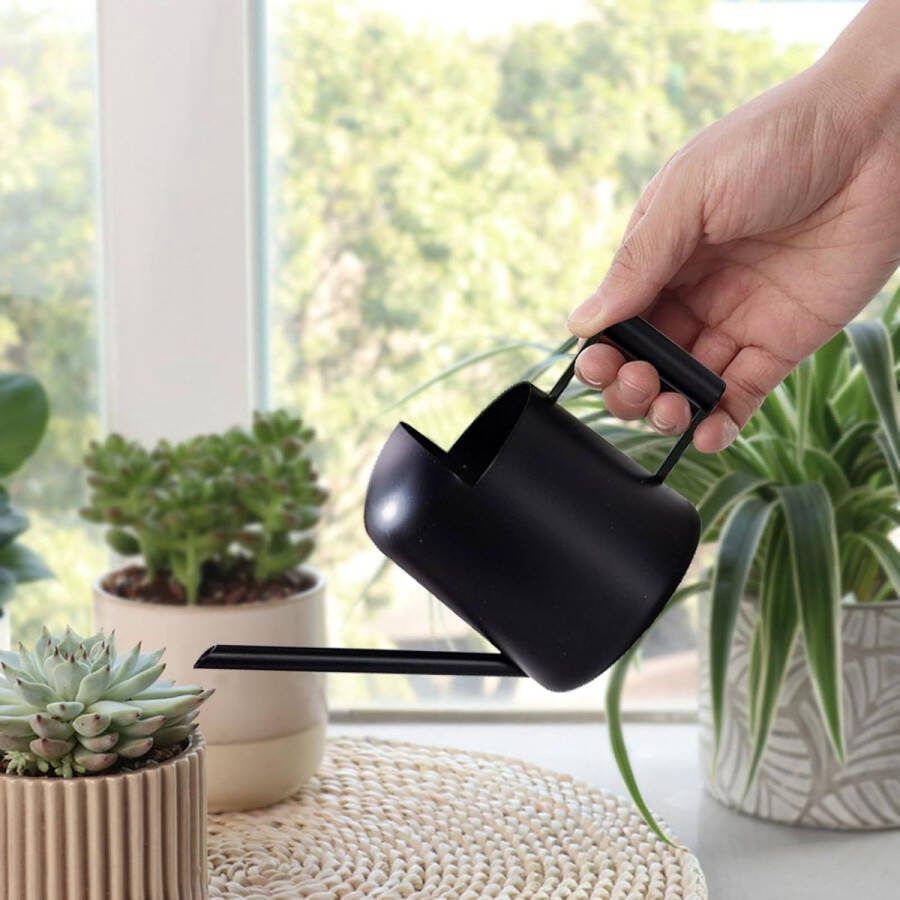 Gieter kamerplanten 500 ml gieter plantengieter met lange uitloop roestvrij staal tuingieter bloemengieter kleine binnengieter voor kamerplanten bloemen zwart