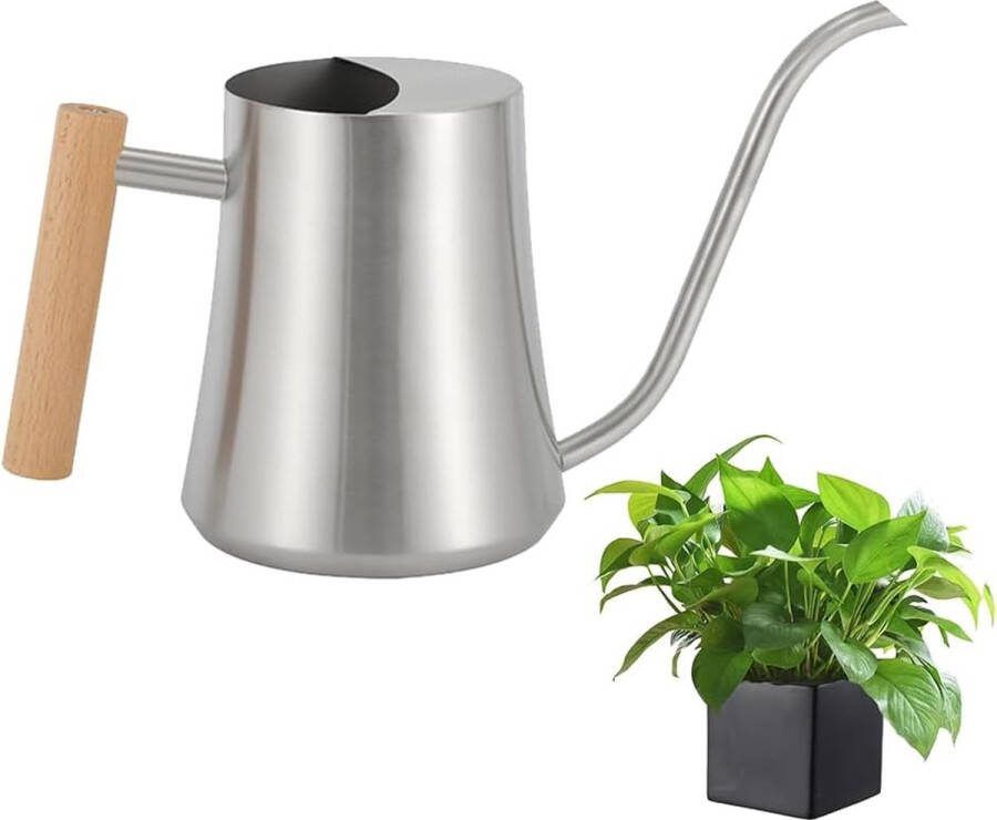 Gieter van 1 liter gieter voor binnen roestvrijstalen gieter kleine gieter voor kamerplanten vetplanten mini-gieter zilveren tuingieter bloemengieter 34Oz
