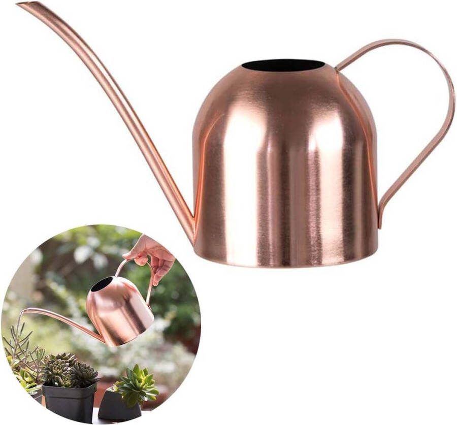 Gieter van roestvrij staal kleine lange gieter voor thuis binnen buiten tuin vetplanten 500 ml roségoud