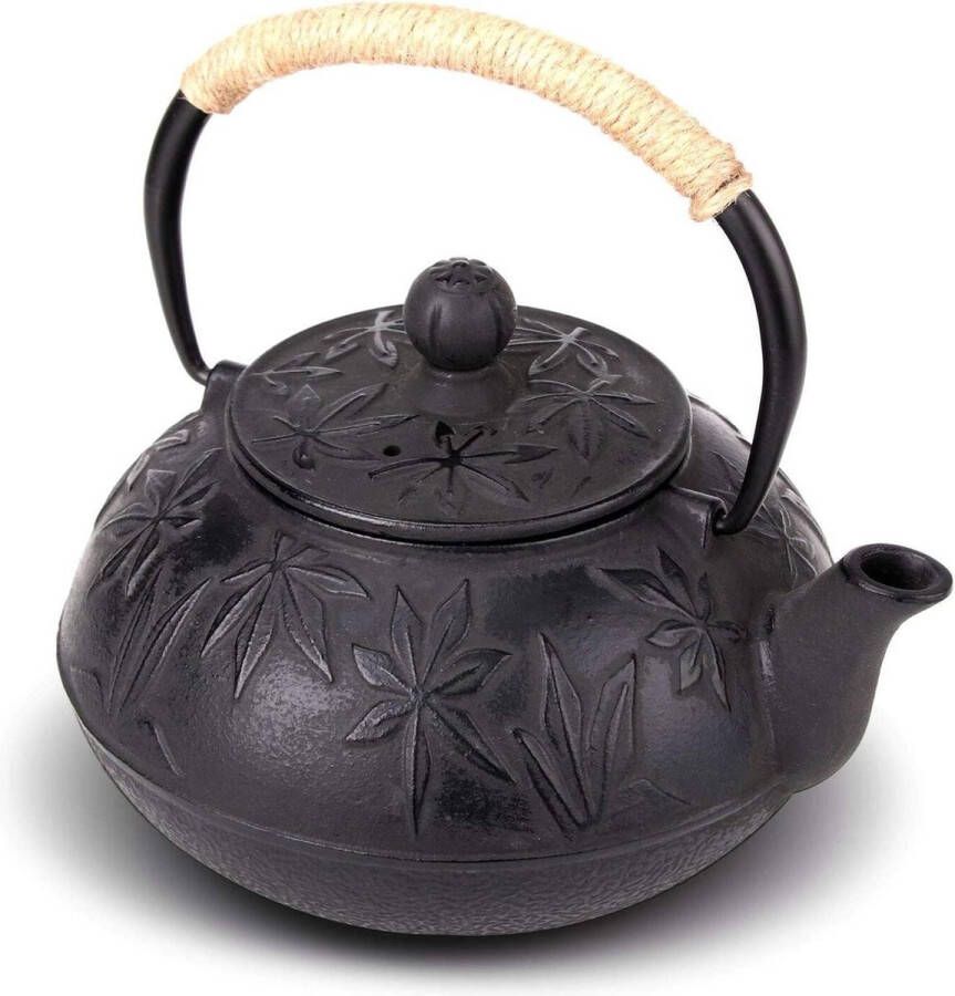 Gietijzeren theepot 800 ml Aziatische theeketel met roestvrijstalen zeef en esdoornbladeren