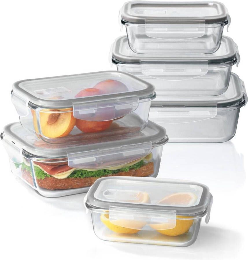 Glass Food Storage Containers Set of 6 Lunch Box Meal Prep Dishwasher Safe Microwave Freezer with Silicone Sealing Ring