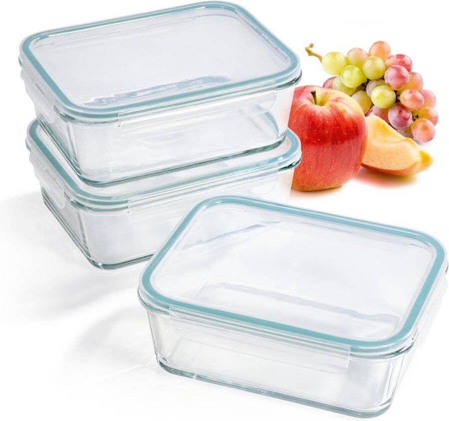 Glass Storage Containers 3 Cans 1.6 L Lunch Box or Meal Preparation Dishwasher Safe Microwave and Freezer Silicone Sealing Ring