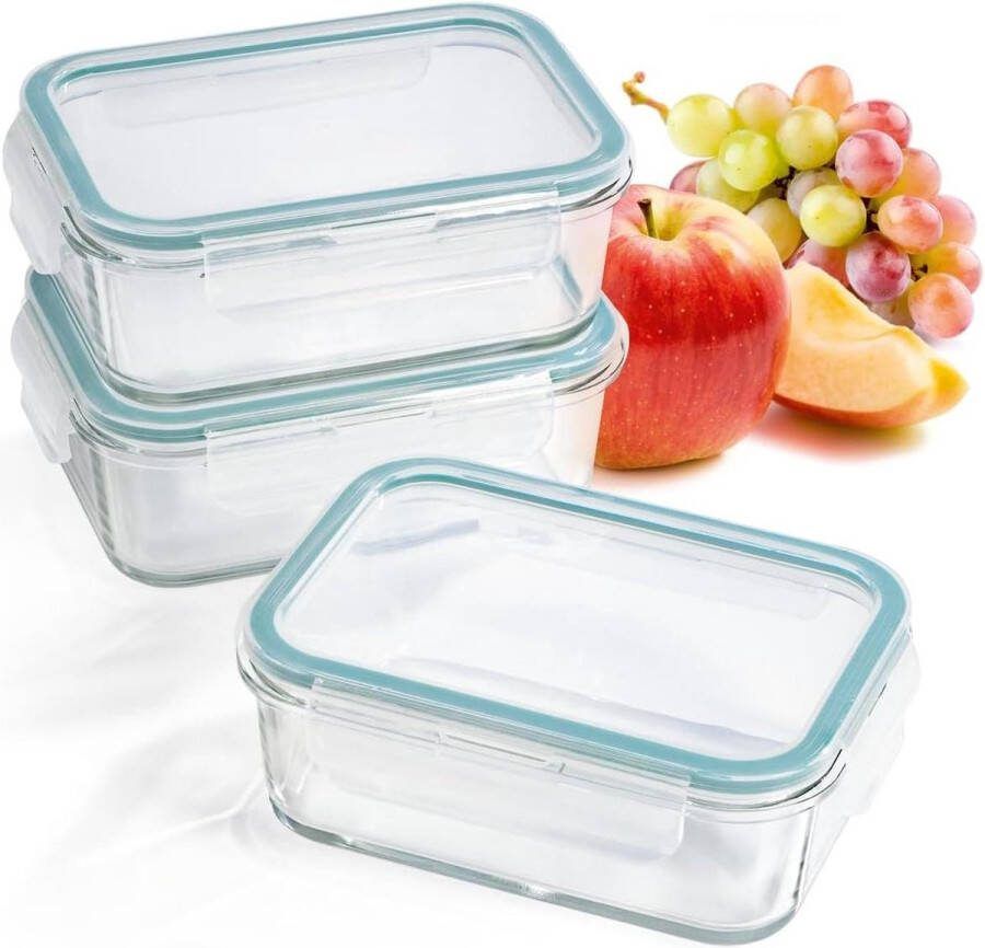 Glass Storage Containers 3 Cans 730 ml Lunch Box Meal Preparation Dishwasher Safe Microwave Freezer Silicone Sealing Ring