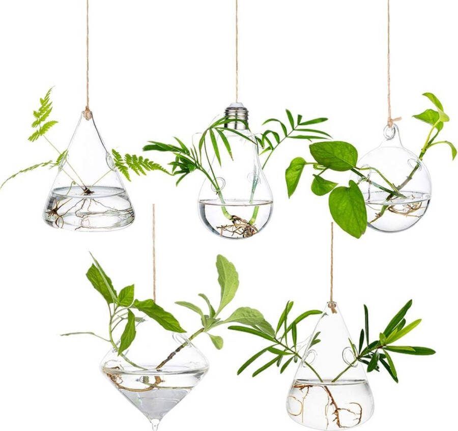 Glazen hangende plantenbakken waterplantenhouder terrarium kaarsenhouder voor binnen en buiten 2 gaten 5 delen set met snaren touw voor tuin balkon
