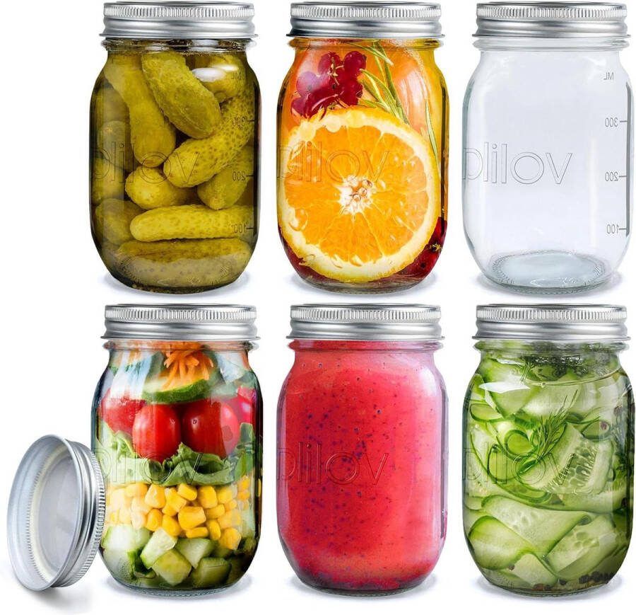 Glazen Potten Met Deksels 490 ml Inmaakpotten Overnight Oats en Jam maken 6 Stuks meal prep
