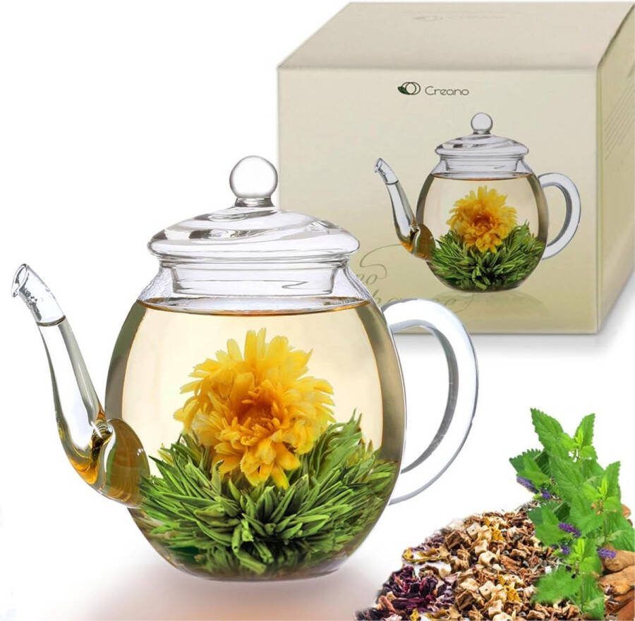 Glazen theepot 1.0l 3-delige theepot met geïntegreerde roestvrijstalen zeef en glazen deksel ideaal voor het bereiden van losse thee druppelvrij alles-in-één