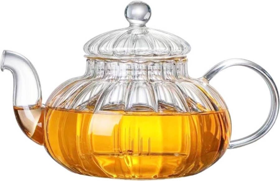 Glazen Theepot 600ml Theepotten met Filter Theepot voor Losse Thee Hittebestendige Glazen Theepot Infuser Huishoudelijke Hoge Temperatuur Weerstand Theepot Theeketel