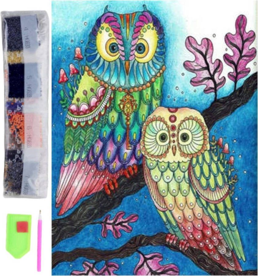 Goods Diamond Painting set diamantschilderij 30 x 40 cm complete kit voor diamantschilderij accessoires knutselen 5D-schilderij kruissteek borduurwerk kunstnijverheid muurdecoratie (uil)