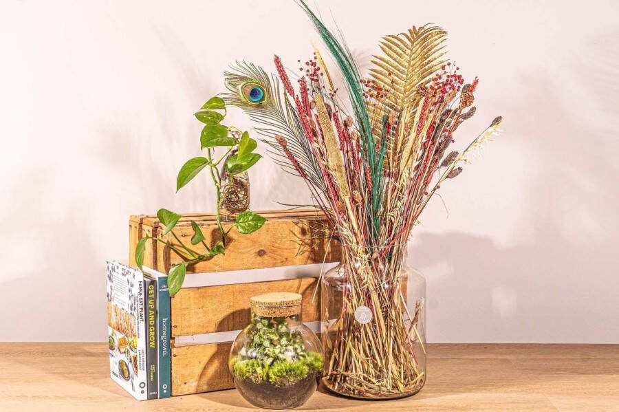 Green Harmony Droogbloemen boeket Christmas Gold Droogboeket 70 cm