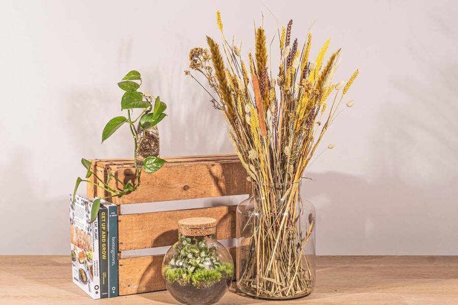 Green Harmony Droogbloemen boeket Yellow & Brown Droogboeket 70 cm FH013