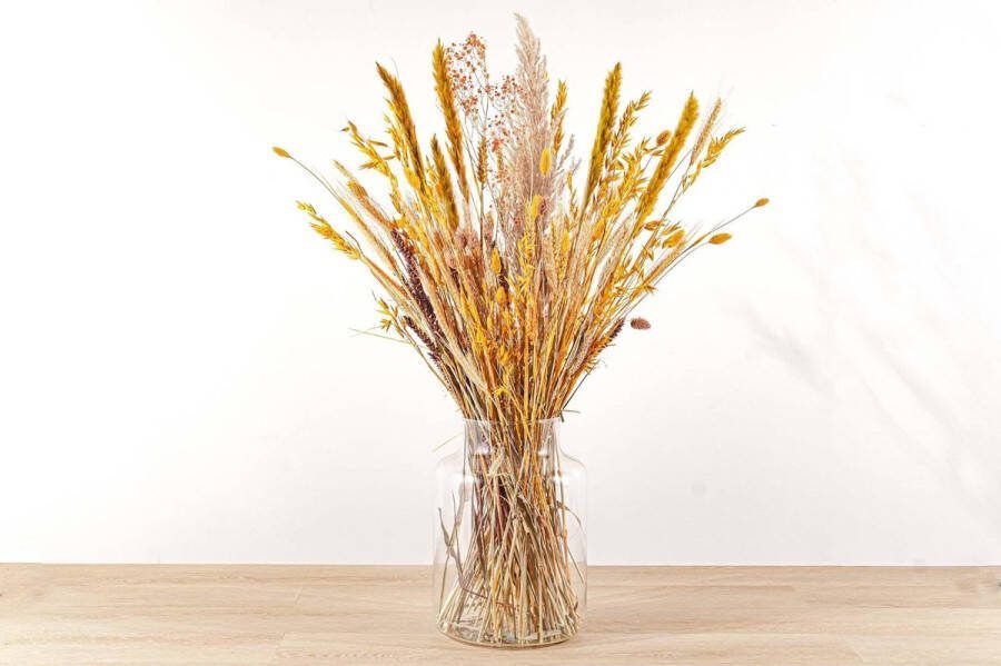 Green Harmony Droogbloemen boeket Yellow XL Droogboeket 70 cm