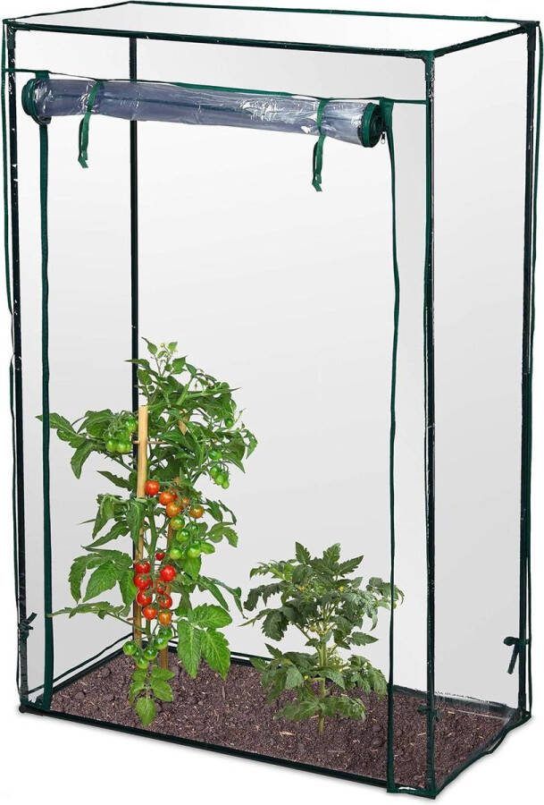 Green Harmony Tomatenkas HBD 150x100x50 cm Tuin Balkon Foliekas voor Tomaten Staal & PVC Folie Transparant Green Harmony Tuinkas