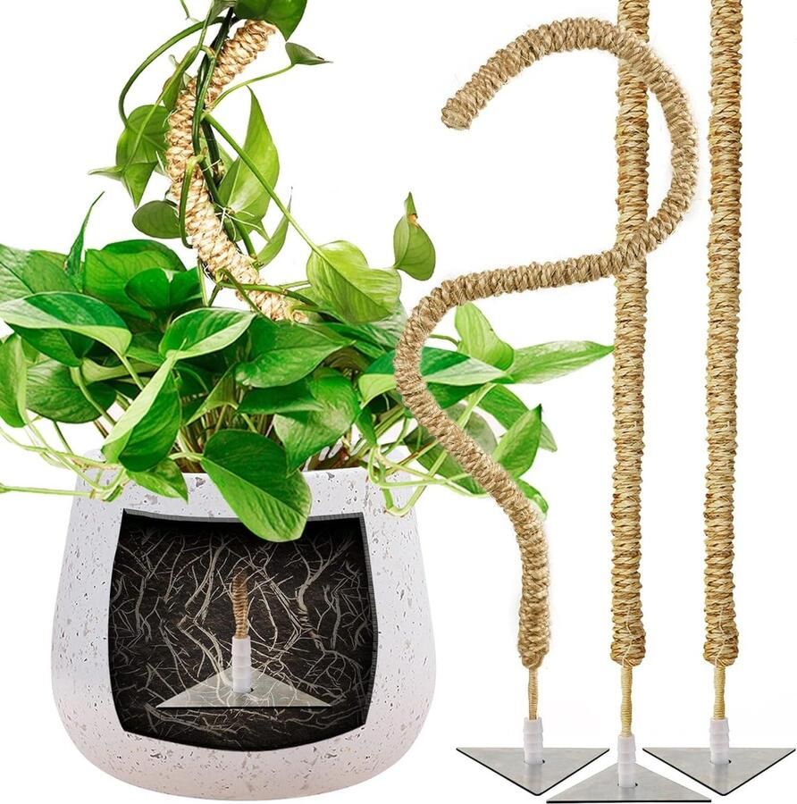 Grote Moss Pole 3-Pack 1m Sisal Rope Stick Grote klimplanten Handgemaakte plantenondersteuning Indoor potplanten Monstera groeien 1 of 2 zoekwoord(en)