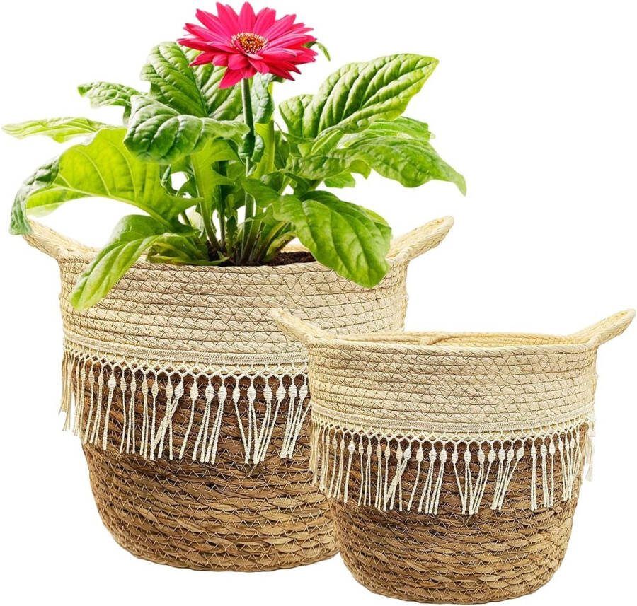 Grote plantenmand set van 2 bloemmanden gevlochten van zeegras bloempotmand voor kamerplanten bloempotten boho potten met handgrepen opbergmand 20 cm en 25 cm diameter