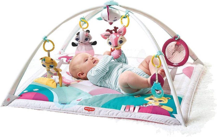 Gymini Prince Kleiner LiebeDVD tapijt baby speelkleed met zachte speelbogen