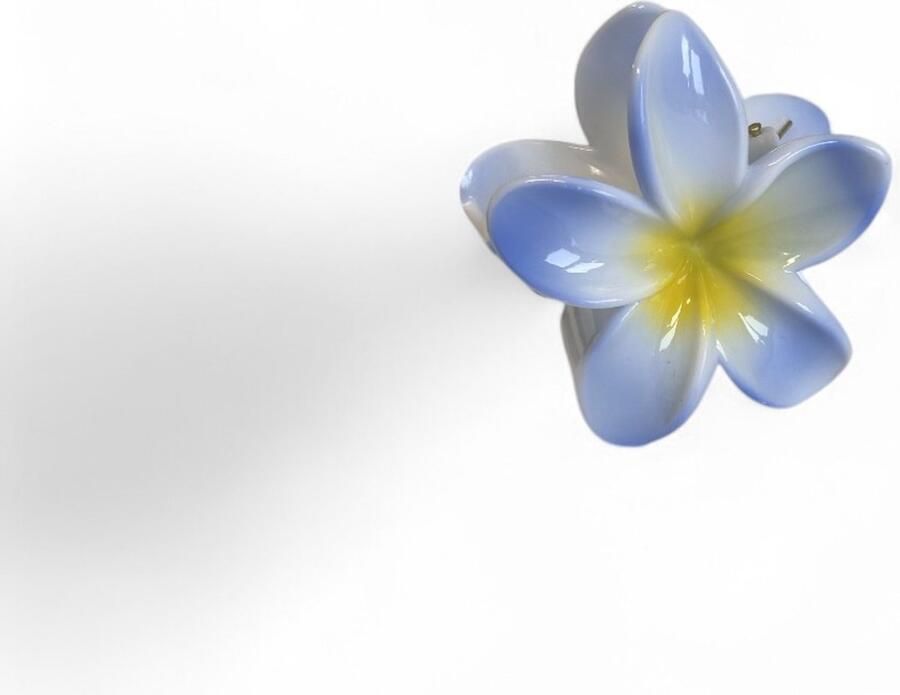 Haarklem bloem Blauw en geel