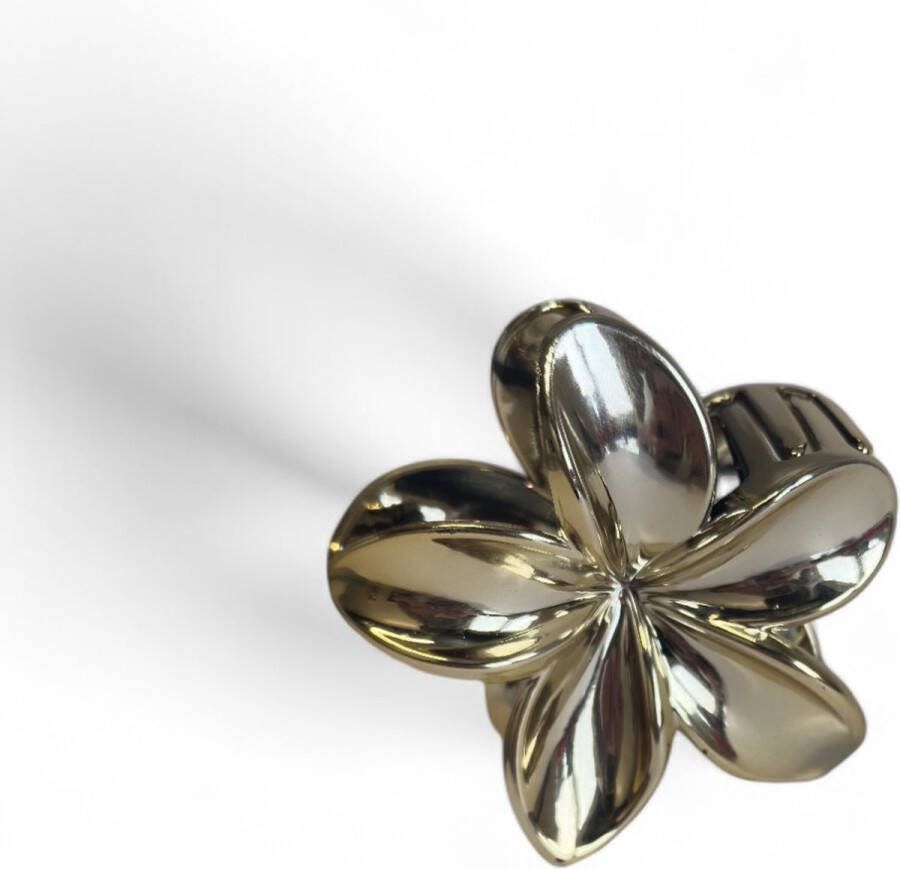 Haarklem bloem Goud