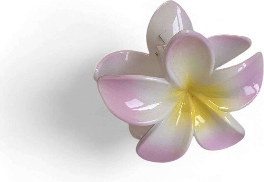 Haarklem bloem Roze en geel