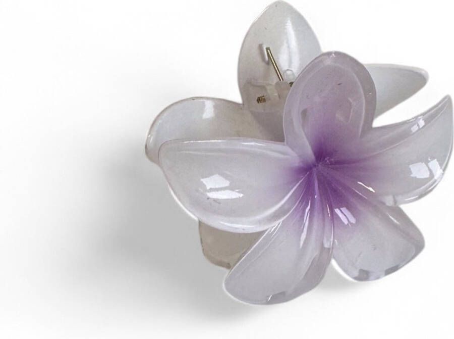 Haarklem bloem Wit en paars