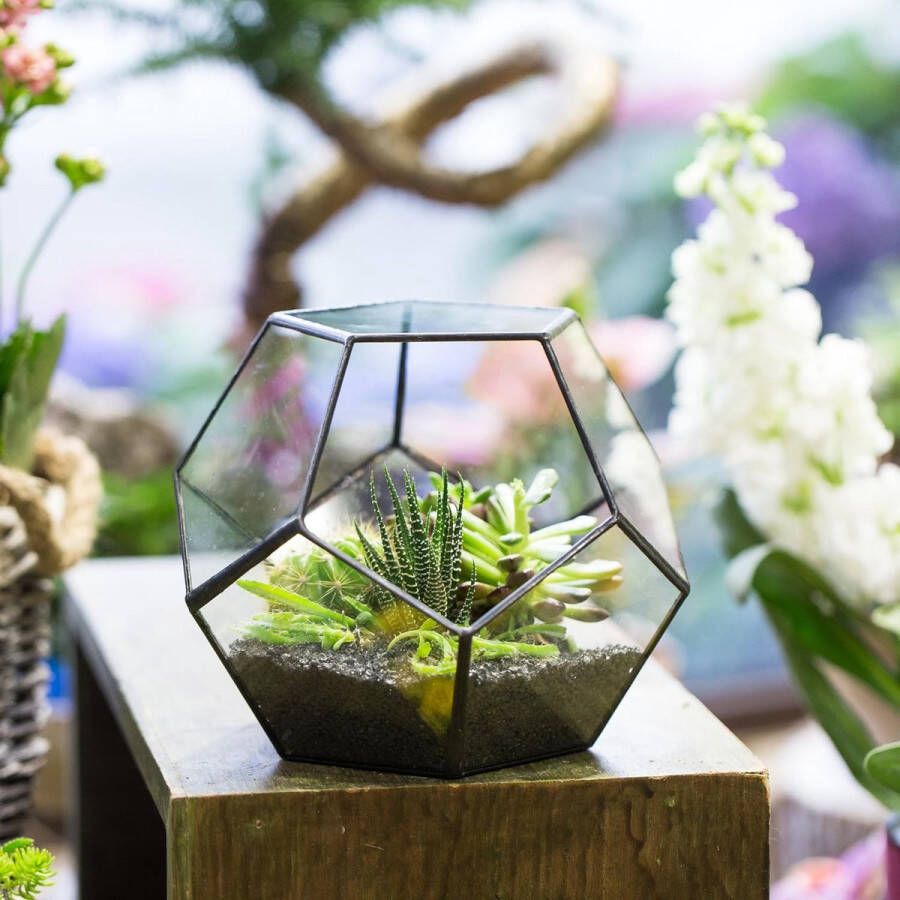 Handgemaakte bloempot transparant vijfhoekig dodecaëder glas terrarium ook voor vetplanten kleurloos zwart (zonder planten)