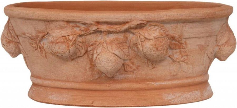 Handgemaakte Terracotta Potten 35 x 15 x 20 cm Voor Binnen en Buiten Vetplanten Italië
