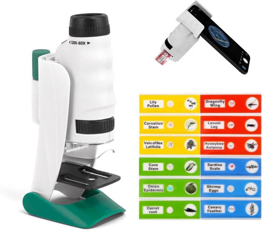 Handmicroscoop Mini Microscoop Zakmicroscoop Hand Microscoop Pocket Microscoop Kleine Microscoop