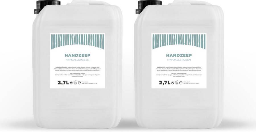 Handzeep Hypoallergeen- Transparant 2 7 Liter 2 Stuks Jerrycan Navulling Q1