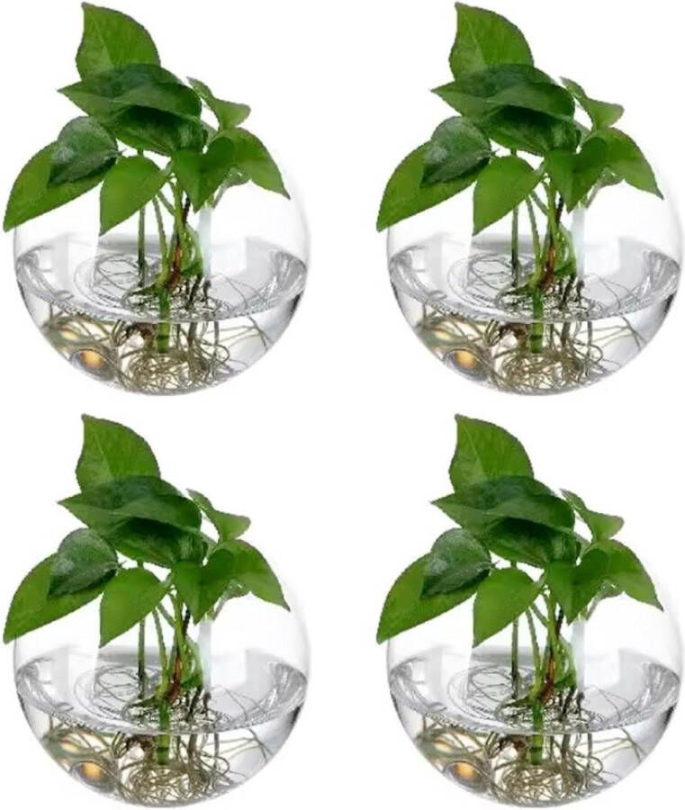 Hangende bloempotten Set van 4 stuks Glazen flessentuin terrarium voor planten binnen Bubble wand vaas 10 cm Geschikt voor vetplanten bloemen en aquaria Bloempot