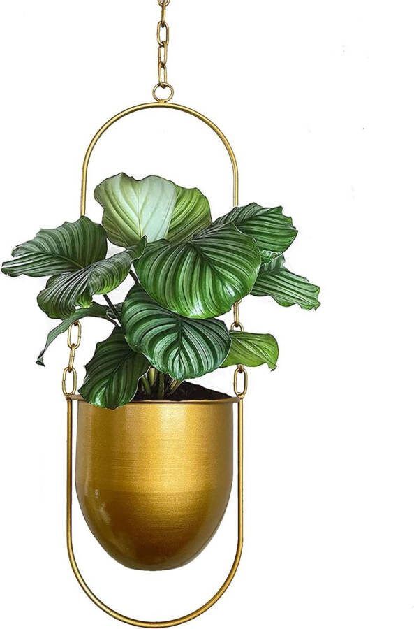 Hangende metalen plantenhanger metalen bloemenhanger moderne hangende plantenbakken voor binnenplanten boho moderne plantenhangers minimalistische wooncultuur (goud)
