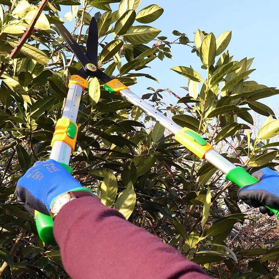 Heggenschaar buxusschaar geel groen
