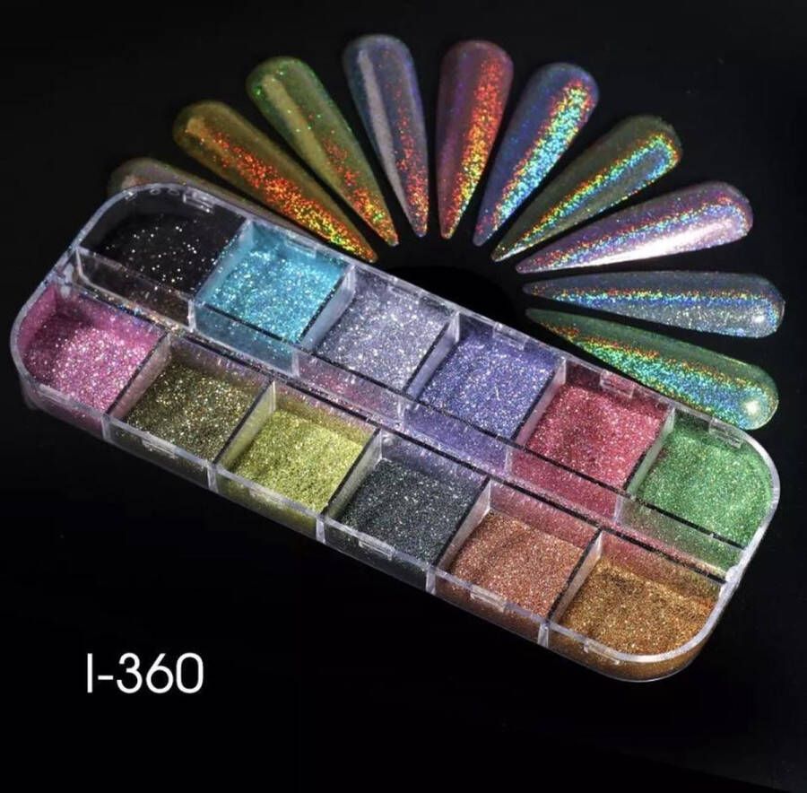 Holografische Glitter Poeder Set 12 stuks kleuren Nail Art Set