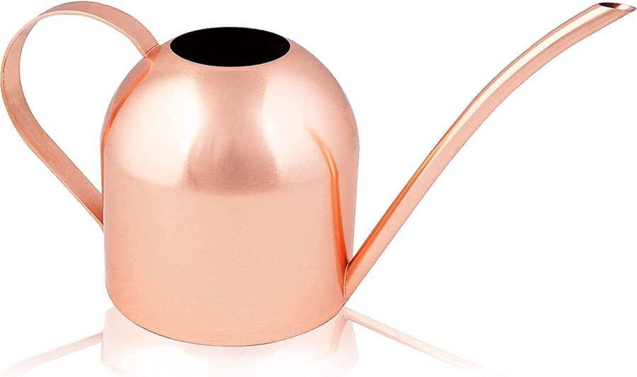 Homarden 30 oz. Koperen gieter Metalen gieter met lange uitloop perfecte plantengieter voor buiten- en kamerplanten (kamerplanten) Mini gieterdecoratie