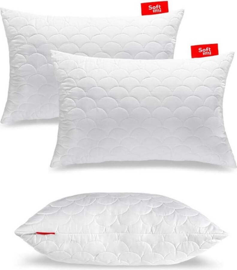 Hoofdkussen 2 stuks premium kussens 50x75cm anti mijt ‎Hypoallergeen Hoofdkussens