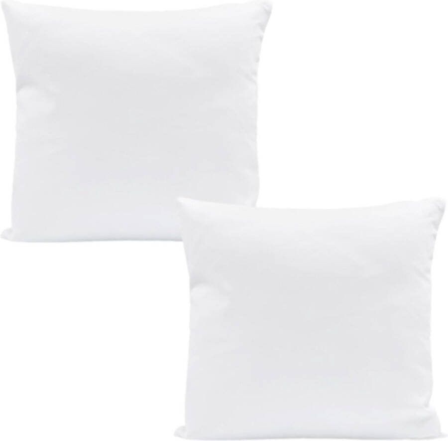 Hoofdkussen set van 2 40 x 40 cm doorgestikt kussen microvezel kussen voor mensen met een allergie bedkussen slaapkussen wit kussen