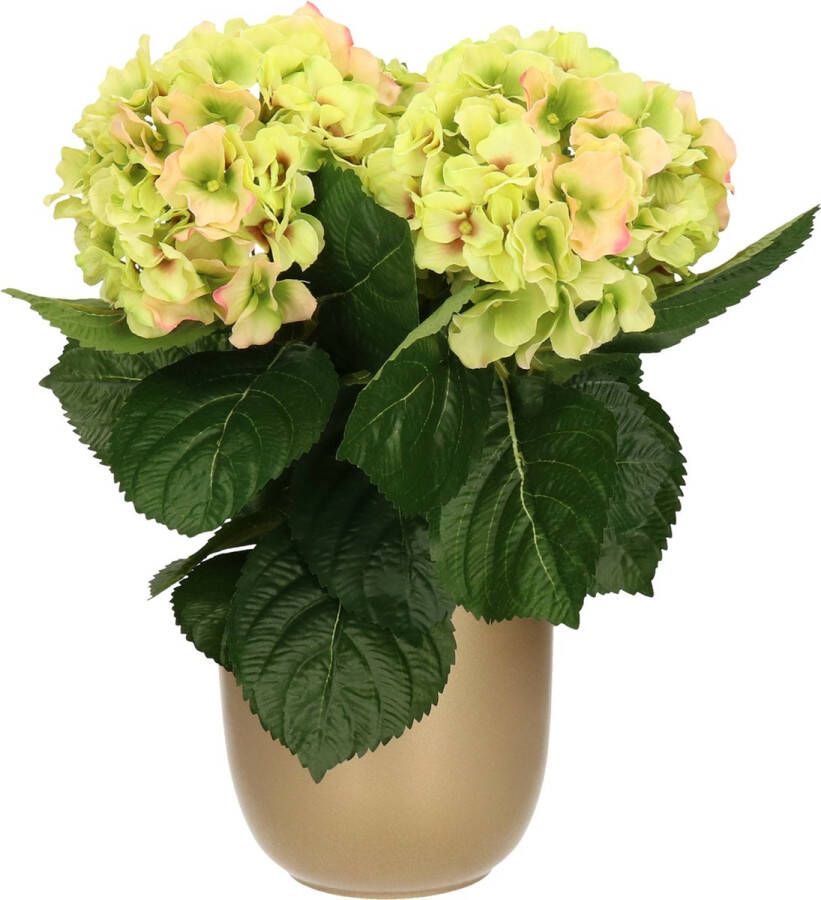 Hortensia kunstplant kunstbloemen 36 cm groen roze in pot goud glans Kunst kamerplant