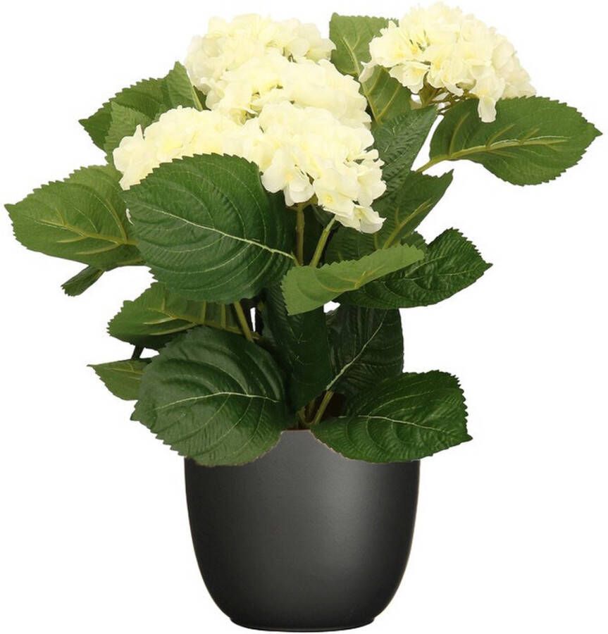 Merkloos Hortensia kunstplant kunstbloemen 36 cm wit in pot zwart mat Kunstplanten